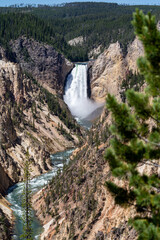 Artists Point showing the lower falls of the Grand Canyon of the Yellowstone in the national park