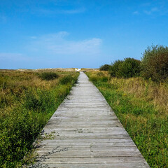wooden path on the beach, walkway in the sand
