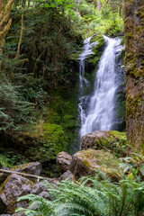 Merriman Falls waterfall, in a daytime long exposure, near Lake Quinault in Olympic National Park