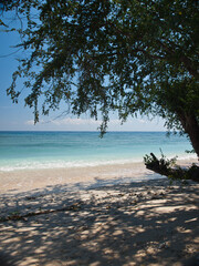 Tropical sea beach with tree and it's shadow in the sand