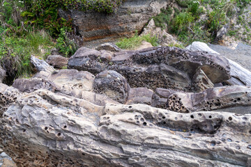 Porous holes from erosion on the beach coastline, taken in Olympic National Park Washington State