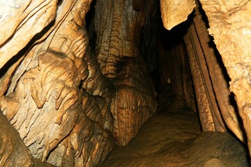 Caverna, parede de caverna. Parque Estadual Turístico do Alto Ribeira (Petar). Mata Atlântica...
