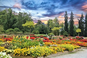 Obraz premium spring in the park