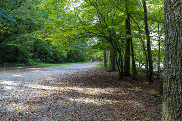 Fototapeta na wymiar a long dirt footpath through the forest with people walking and running along the path surrounded by lush green trees at Cochran Shoals Trail in Marietta Georgia
