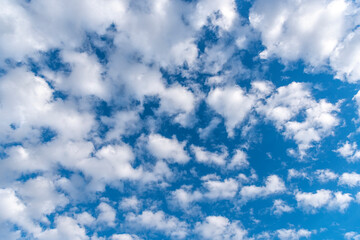 white clouds covering the blue sky