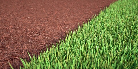 Land prepared for planting grass. Half grass half ground. 