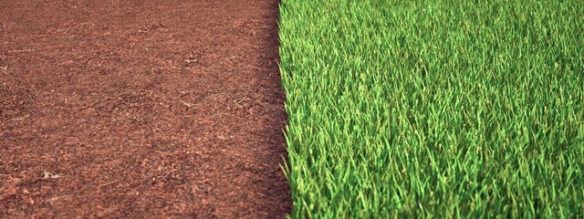 Land prepared for planting grass. Half grass half ground. 