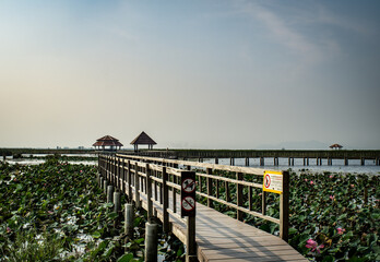 bridge over the river