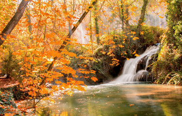 waterfall in autumn