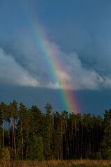 Rainbow over the forest. Rainbow on the background of clouds.