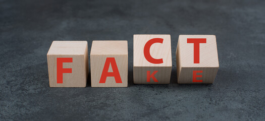The words fact and fake are standing on wooden blocks