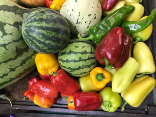 Red, yellow and green bell peppers, pumpkin, watermelon, tomato, autumn harvest