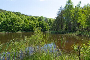 Fototapeta na wymiar Landscape of Sua Gabra Lakes at Lozenska Mountain, Bulgaria