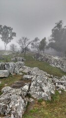 mountain landscape with fog