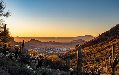 landscape of a sunrise in arizona