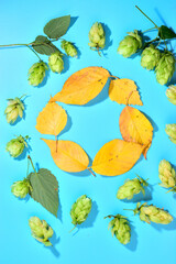 Hop cones on a twig with leaves and a circle in the center. Conceptual frame on the theme of the autumn harvest.