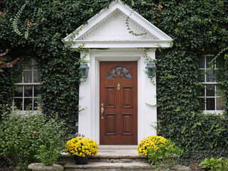 Wood grain front door of house, surrounded by ivy and yelllow chrysanthemums