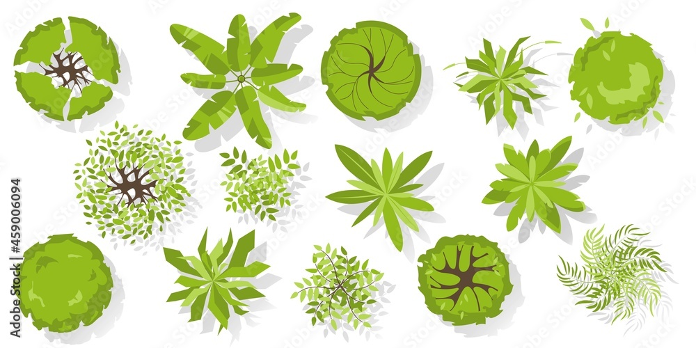 Wall mural trees top view for architectural and landscape design. different colored plants and trees vector set