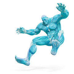 bodybuilder muscle maps is falling down in white background