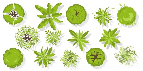 Trees top view for architectural and landscape design. Different colored plants and trees vector set. Graphic, isolated on white. Vector illustration. Elements for design projects. Green spaces.