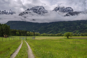 landscape in the summer