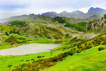 Fototapeta premium PICOS DE EUROPA
