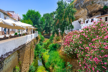 Fototapeta na wymiar Cauce de un río con exuberante vegetación a su paso por el centro de un pueblo de calles blancas desde Setenil de las Bodegas, provincia de Cádiz, Andalucía, España.