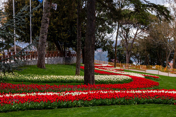 Emirgan Grove with many flower species, 2021-31 March, Istanbul, Turkey