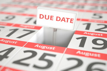 DUE DATE sign on August 18 in a calendar, 3d rendering