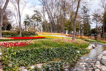 Plakat Emirgan Grove with many flower species, 2021-31 March, Istanbul, Turkey