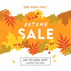 Autumn sale banners. Abstract with colorful falling leaves. Fallen foliage background. Promo badge for your seasonal design. Vector