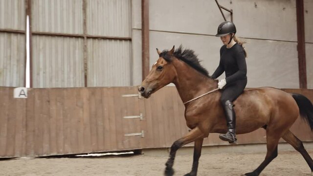 Woman Riding Bareback On Horse Around Paddock