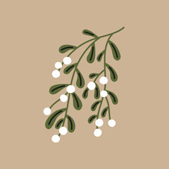 Branch of mistletoe with white berries. Christmas vector illustration