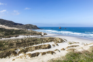 Fototapeta na wymiar Sandfly Bay - Otago Peninsular Dunedin New Zealand