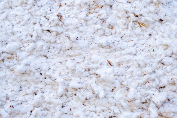 Close up of  raw cotton which is in a large bale.