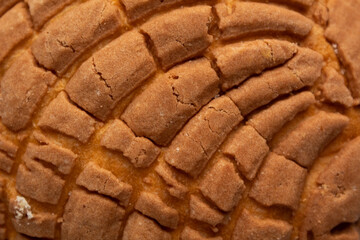 close up of a delicious traditional Mexican sweet bread called concha on a white background