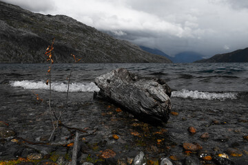 Lo que trajo el lago