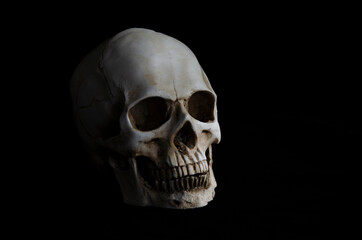 Scary eyeless white skull on black background
