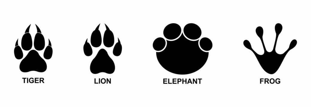 animal footprint icon set, animal footprint vector set