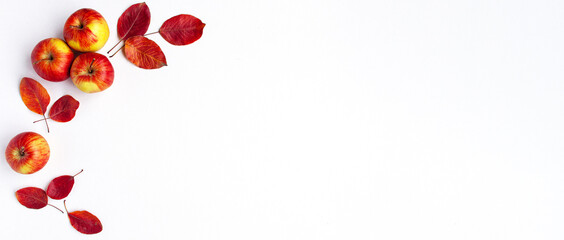 Flat lay top view banner template of red yellow apples and vibrant autumn leaves of the left side of frame on white background. Healthy organic autumn food and still life concept with copy space