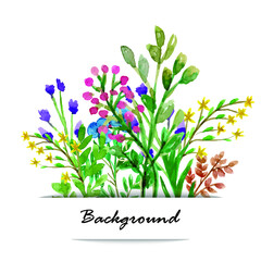 Fototapeta na wymiar Background vintage card with watercolor wild flowers