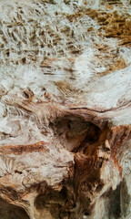 Natural abstract wood texture, have textured by wind, storm, rain, and sun