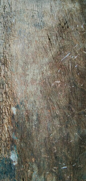 Natural abstract wood texture, have textured by wind, storm, rain, and sun