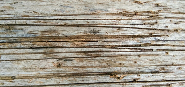 Natural abstract wood texture, have textured by wind, storm, rain, and sun
