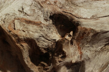 Natural abstract wood texture, have textured by wind, storm, rain, and sun