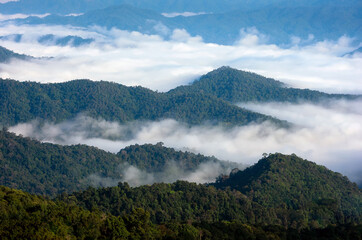 Beautiful aerial view sea of fog in the forest with green mountains. Doi-Montngo, Mae Taeng, Chiang Mai, Thailand.