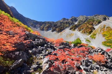 涸沢カールの紅葉と穂高連峰