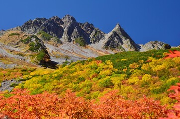 涸沢カールの紅葉と穂高連峰