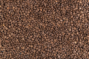 Roasted coffee beans. Food background. High quality photo