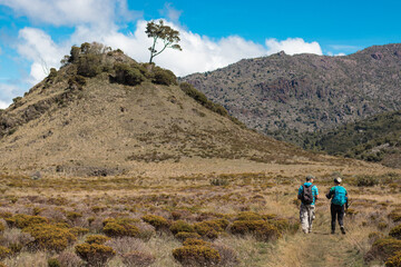Fototapeta na wymiar a couple of hikers walking along the path surrounded by vegetation in the paramo in Chirripo National Park